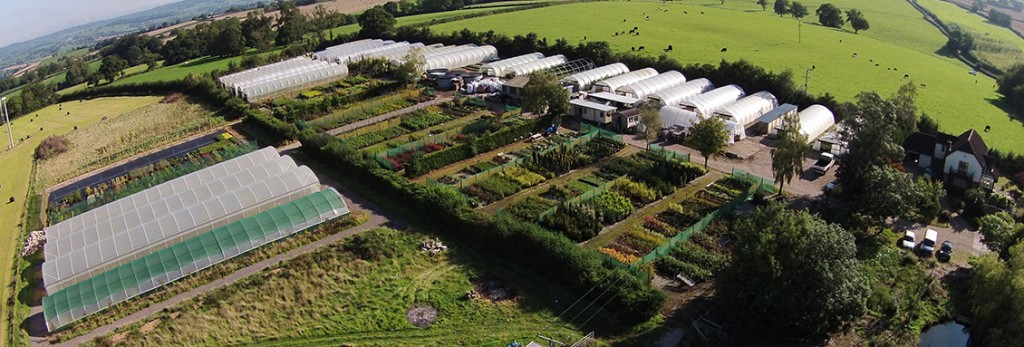 An aerial shot of Rainbow Plants wholesale plants for sale
