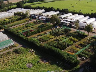 An aerial shot of Rainbow Plants wholesale plants for sale