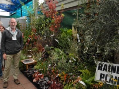 We scooped an award at the South West Growers Show 2015, for best nursery stand