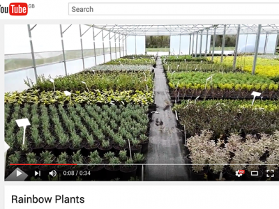 Rainbow Plants is now on You Tube
