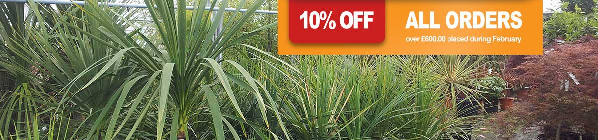 Get 10% off orders over £600 in February 2017 at Rainbow Plants
