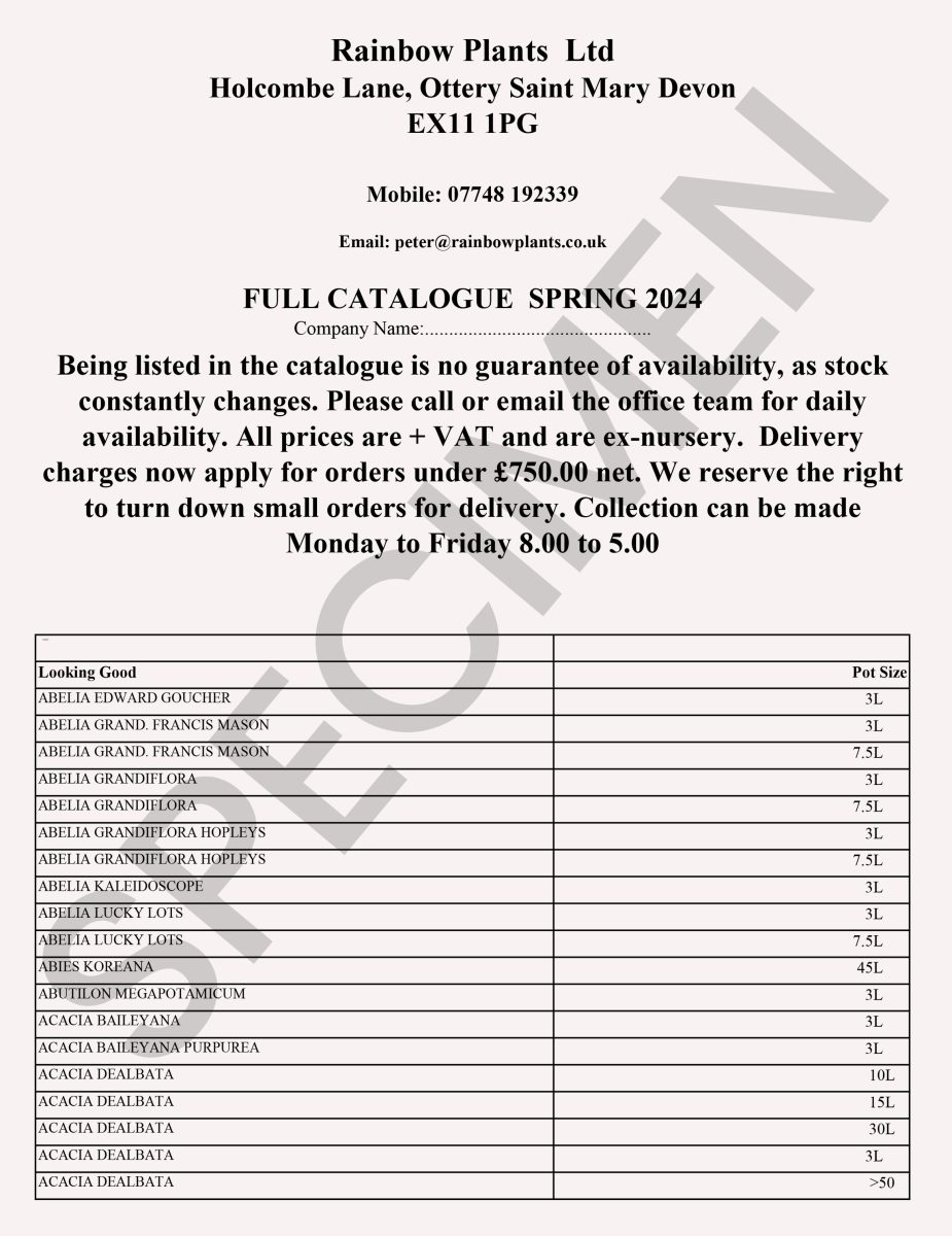 specimen of the spring catalogue 2024 document